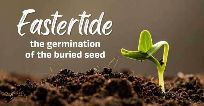 She Supposed He Was The Gardener