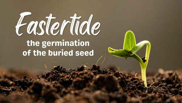 Eastertide: The Germination of the Buried Seed