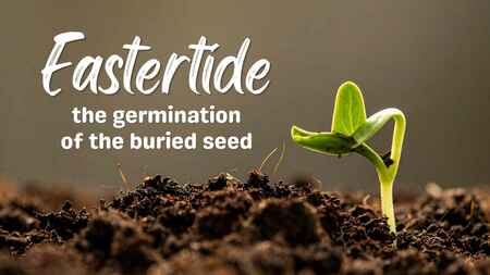 Eastertide: The Germination of the Buried Seed
