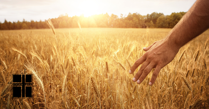 Daily Devotion for April 14, 2026 image