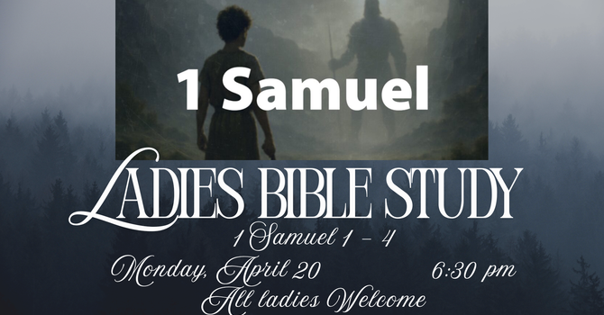 Ladies Bible Study