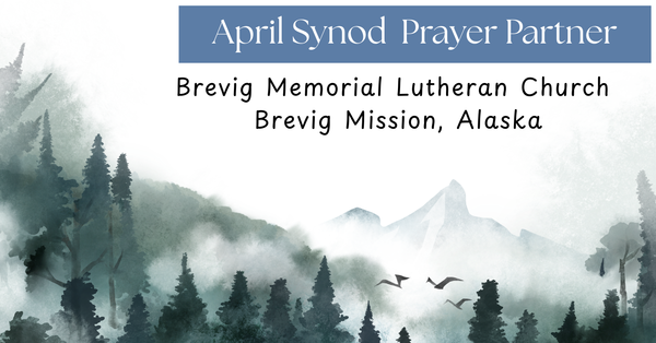 Synod Monthly Prayer Partners