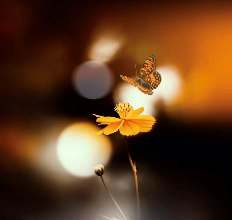 聖經中的禱告3 - 因著感謝神恩典而禱告一大衛