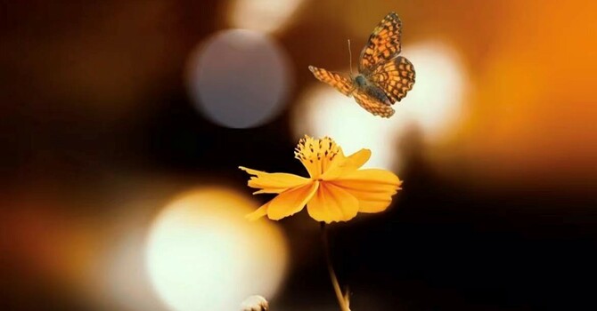 聖經中的禱告3 - 因著感謝神恩典而禱告一大衛