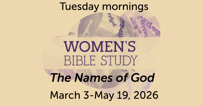 Ladies Morning Bible Study