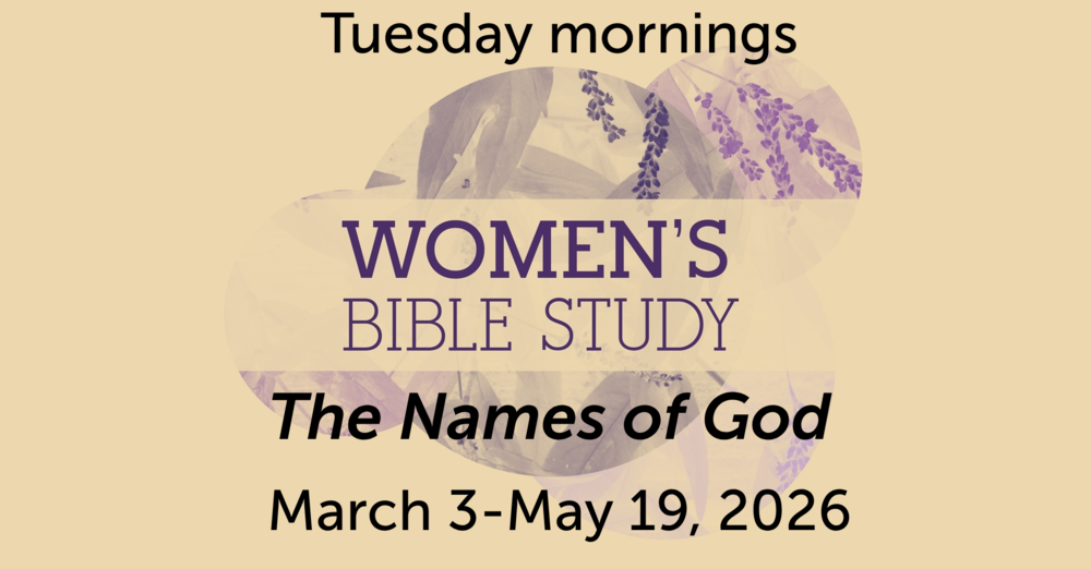 Ladies Morning Bible Study