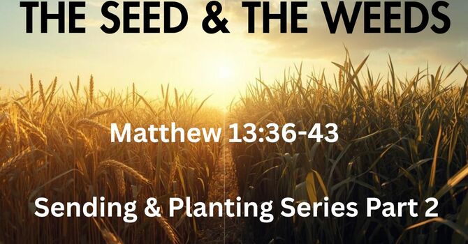 Sending & Planting Part 2: The Seed & The Weeds