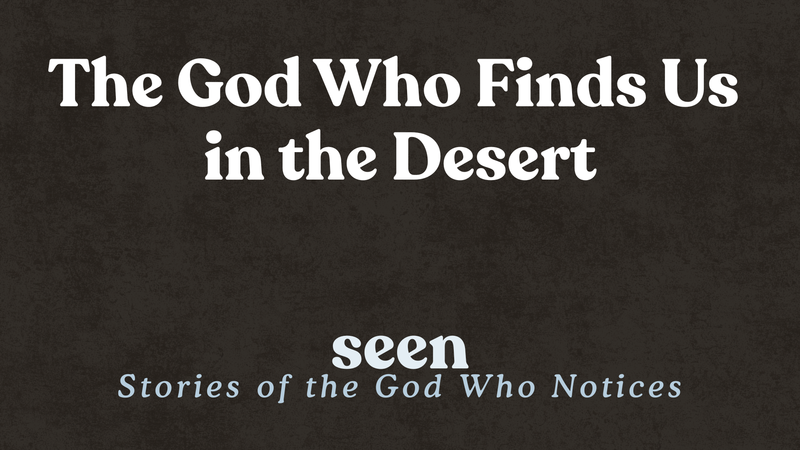 The God Who Finds Us in the Desert