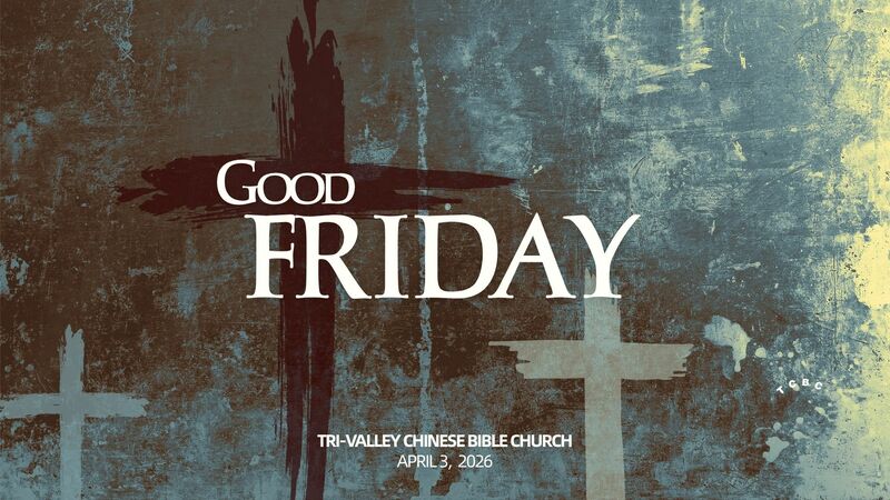 Punished for Our Sins - Good Friday Sermon