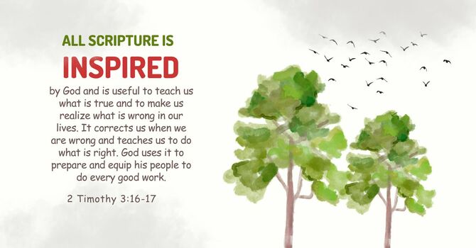 100% Accurate EVERY TIME!