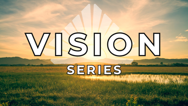 Vision Series