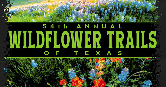 Wild Flower Trails