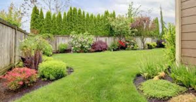 Young-ish Adult Gathering