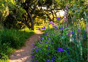 Slideshow image