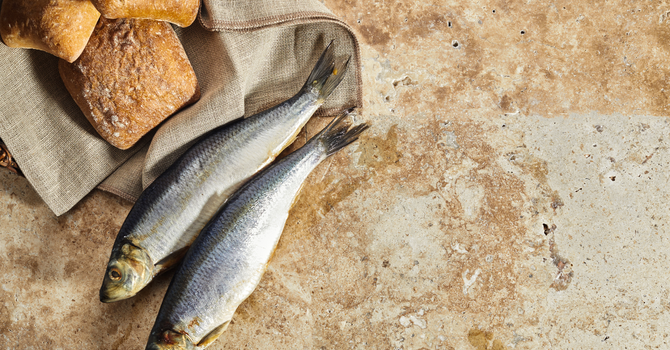 An Evening with Loaves and Fishes