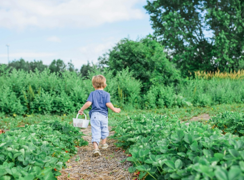 Rev. Karen's Reflection for Easter 3