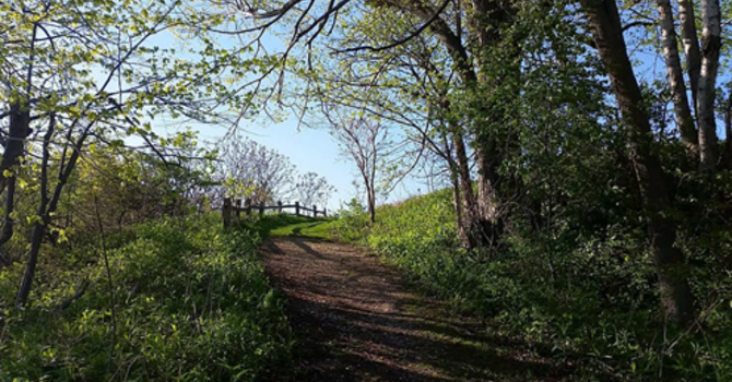 Worship Service-April 12, 2026 image