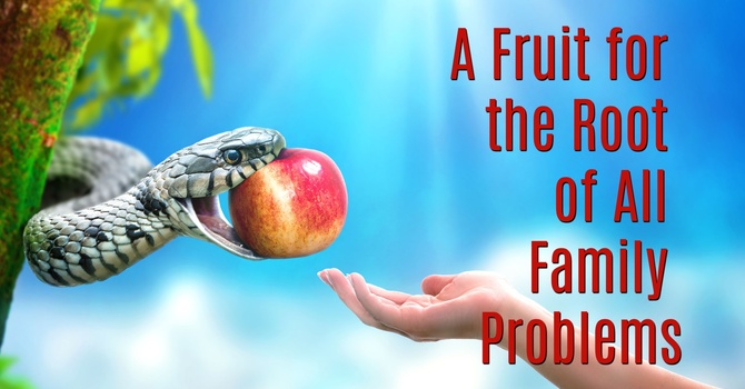 A Fruit for the Root of All Family Problems