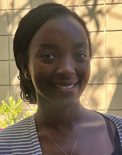 Karimi Njee