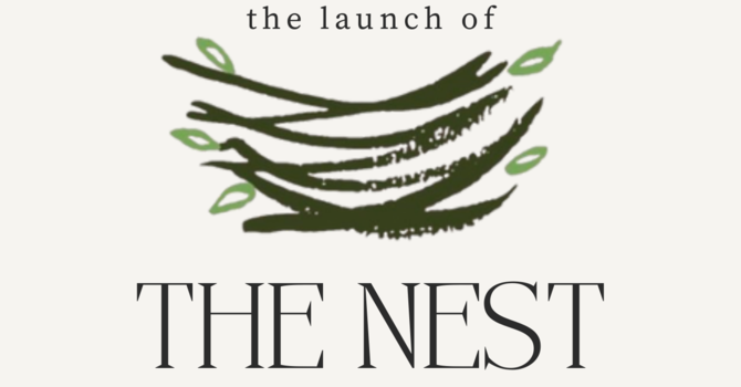 The Launch of The Nest image