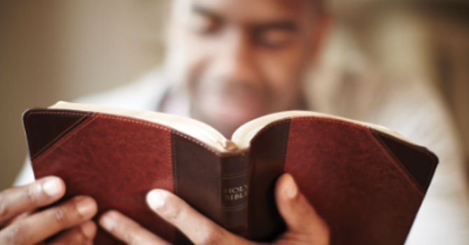 Discipleship Bible Studies