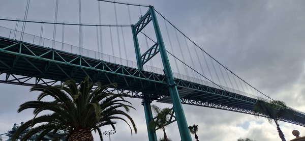 T.f. Kyrkoherde Walter Wiklund