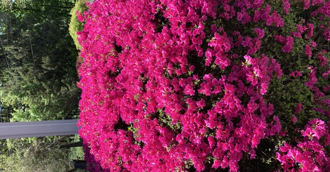 Special Congregational Meeting 4/26/2026