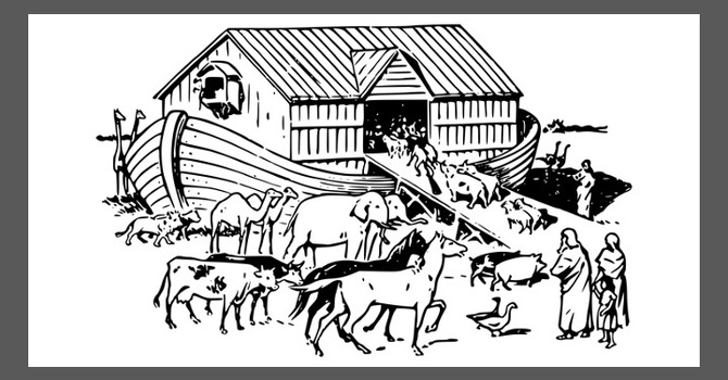 Fill the Ark - Heifer International Project