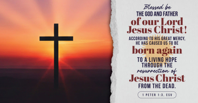 Joey's Tuesday Devotional image