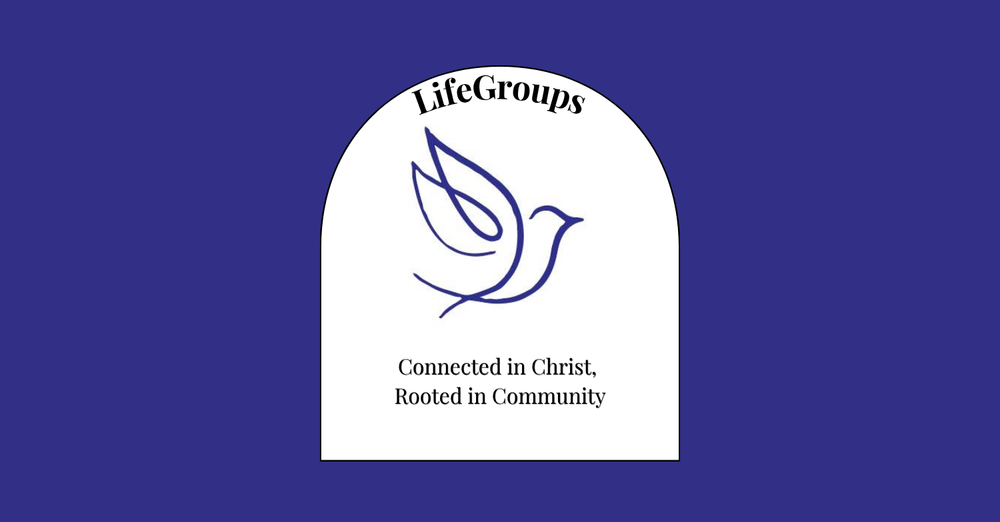 LifeGroup Leader Training 