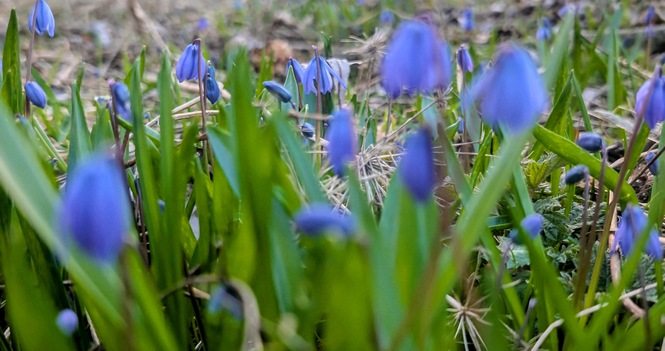 Passing the Peace - April 16, 2026