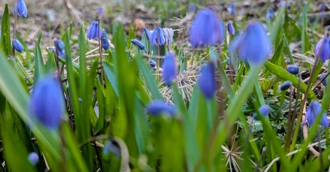 Passing the Peace - April 16, 2026 image