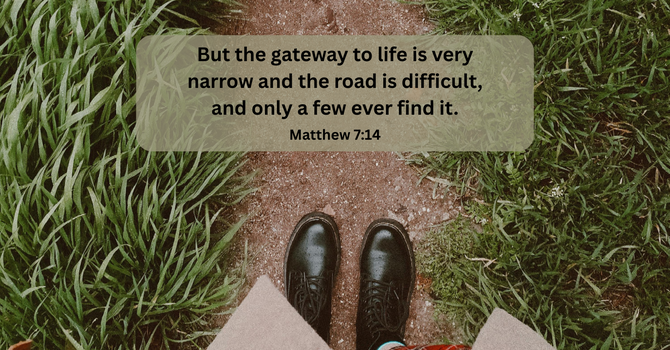 The Narrow Way! image