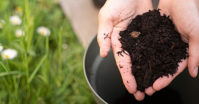 Doing Our Share for Creation Care image