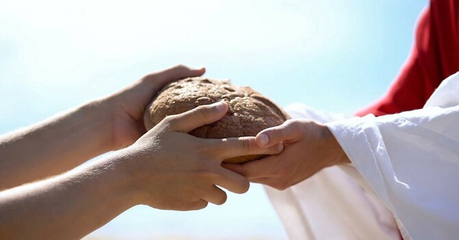 Feed the Hungry
