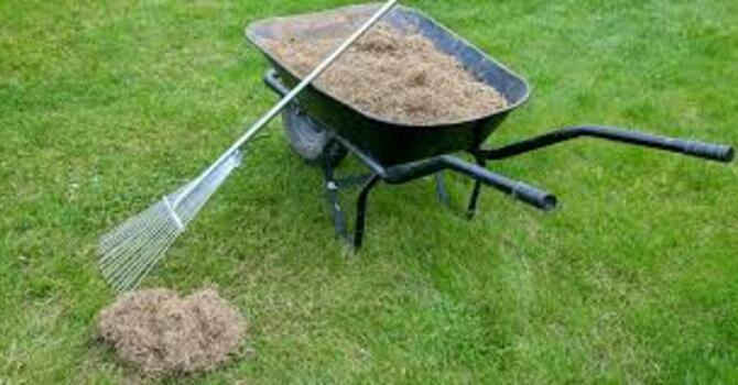 Spring Yard Clean-up