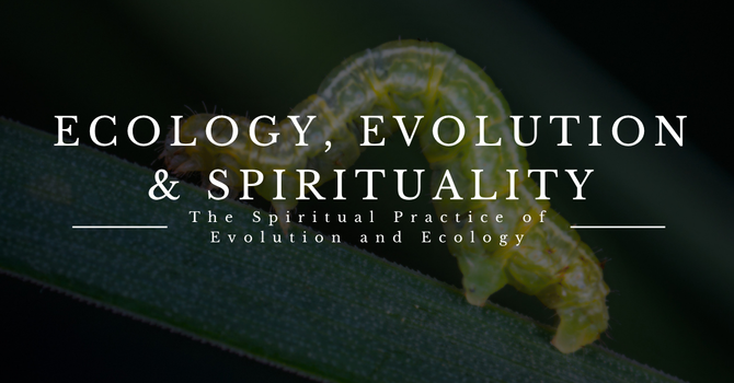 Ecology, Evolution & Spirituality