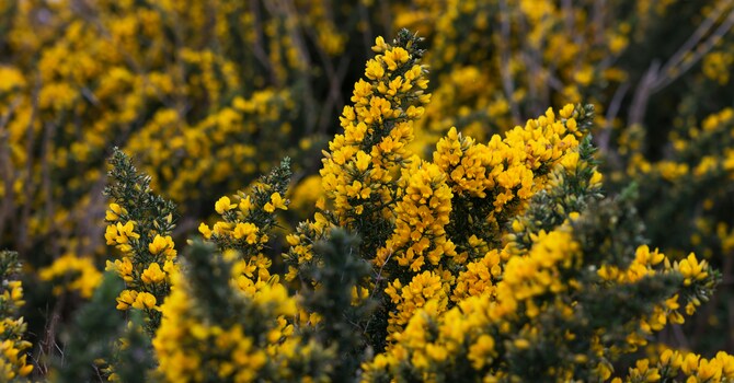 This Thing Called God – God: What’s in a Name?