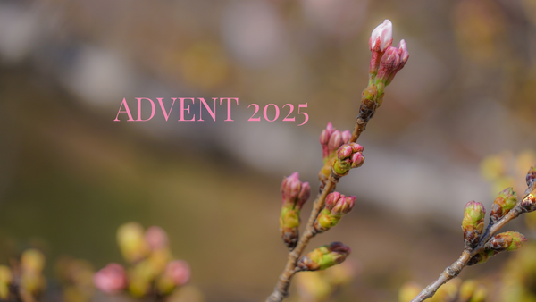 Advent 2025