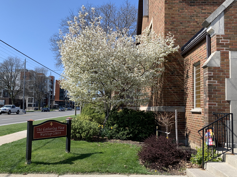 What is a "Week of Guided Payer?"