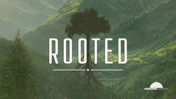 Rooted