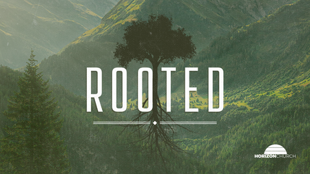 Rooted