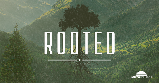 Rooted: Abide