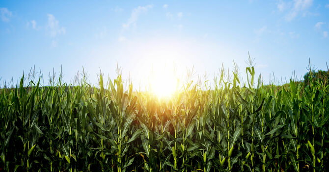 Corporate Prayer: Economic Stability and Provision