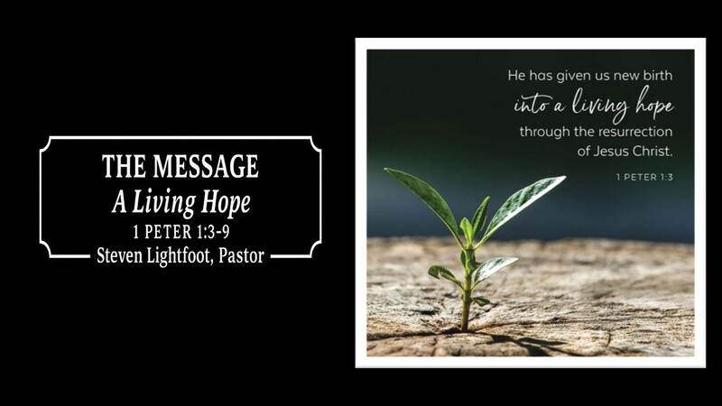 A Living HOpe