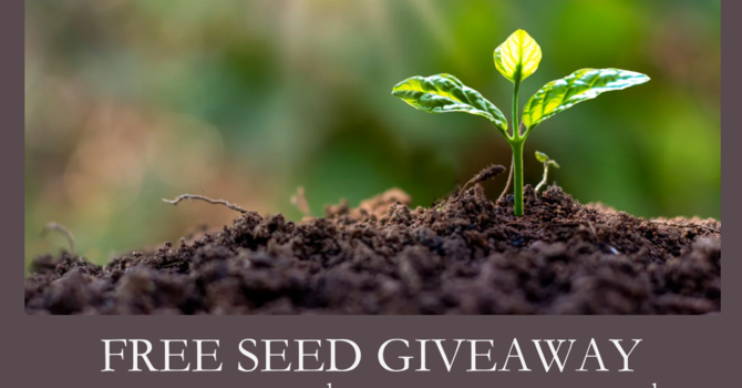 Seed Giveaway!!