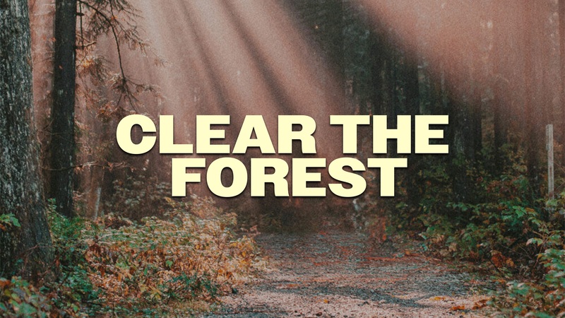 Clear the Forest