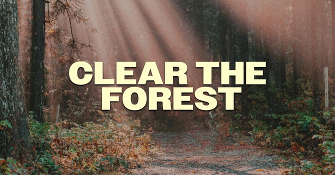 Clear the Forest