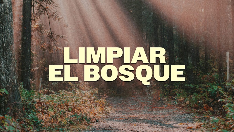 Limpiar el Bosque