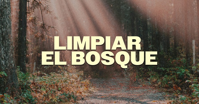 Limpiar el Bosque